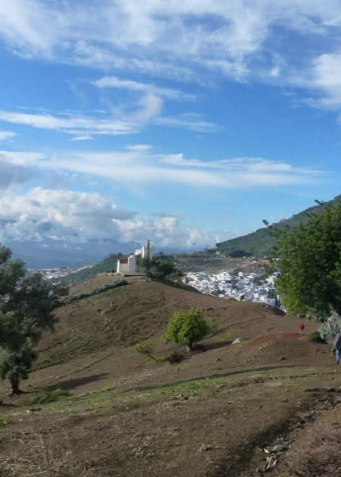 Hillside with a white building and town below under a blue sky with clouds.